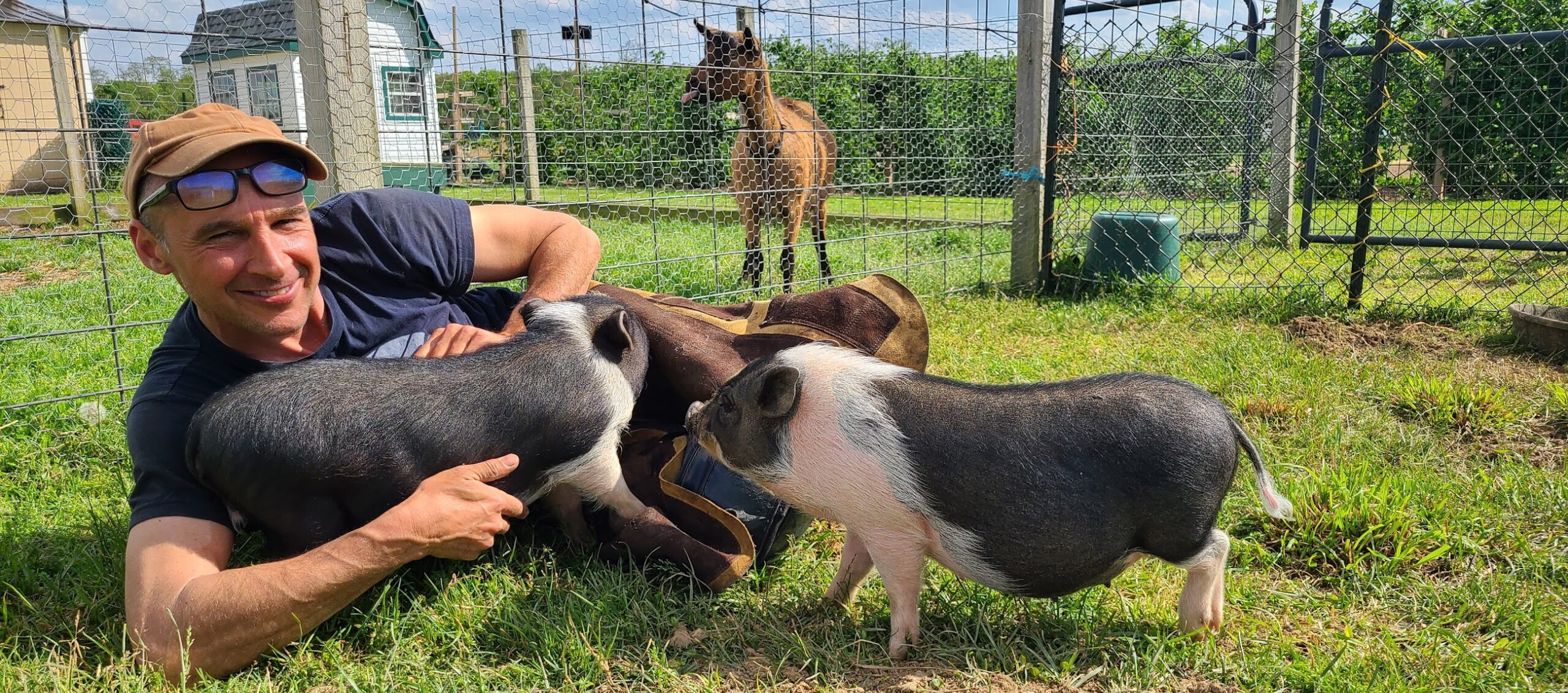 Ben-with-Pigs-in-Farrier-Group-scaled-e1658871529767