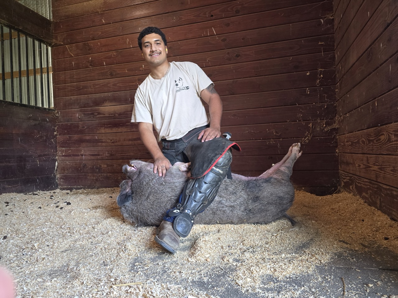 Gus and Pig Large